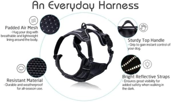 https://m.media-amazon.com/images/I/4115Pz2oN+L._AC_.jpg