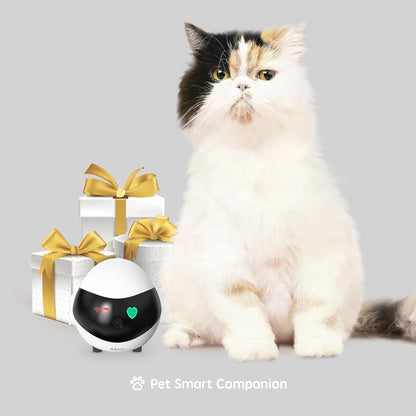 https://m.media-amazon.com/images/I/611542iXIOL._AC_SL1500_.jpg