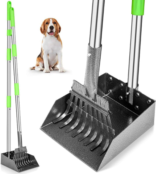https://m.media-amazon.com/images/I/61DGJXKqobL._AC_SL1000_.jpg