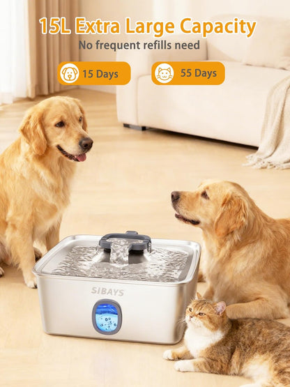 https://m.media-amazon.com/images/I/71-UFLnH0sL._AC_SL1500_.jpg