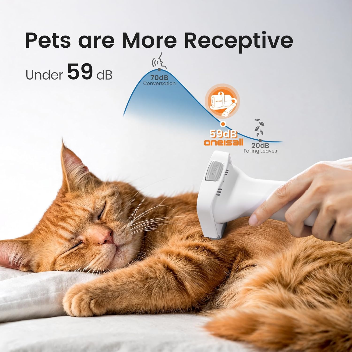 https://m.media-amazon.com/images/I/71Y7KY7fQGL._AC_SL1500_.jpg
